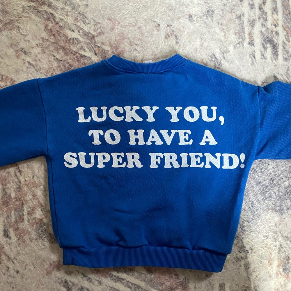 ZARA Super Cool Sweatshirt